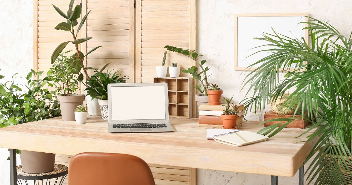 Home office desk with computer and plants